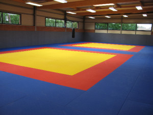 tatami judo